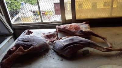 La carne de perro encontrada por las autoridades en un restaurante chino de Tegucigalpa. Foto cortesía del Ministerio Público.