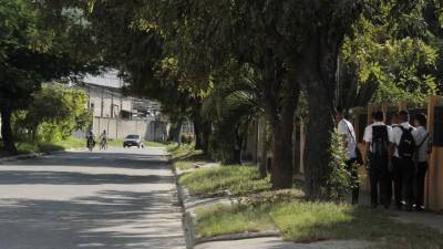 En las colonias El Periodista y Miguel Ángel Pavón asaltan estudiantes a diario. Foto: Cristina Santos