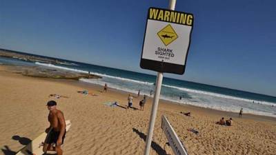 Las autoridades han declarado alerta en la zona ante la amenaza de los tiburones.