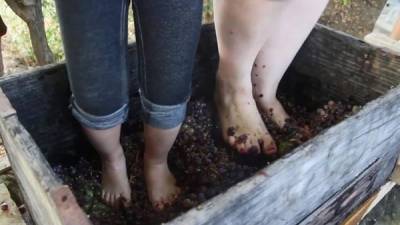 Fotograma tomado de un vídeo del día 20 de diciembre de 2017, que muestra a mujeres pisando uvas para la elaboración de vino en la localidad La Purísima, Municipio de Comondú, Baja California Sur, México. EFE