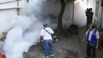 Las fumigaciones en los mercados continuarán hoy y el domingo.