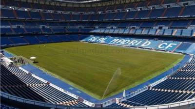 El tipo de césped que ha instalado para esta temporada el Real Madrid es híbrido. FOTO Real Madrid.