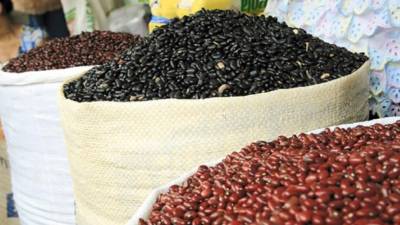 Se estima que la cosecha de frijoles osciló entre 3.1 y 3.3 millones de quintales.