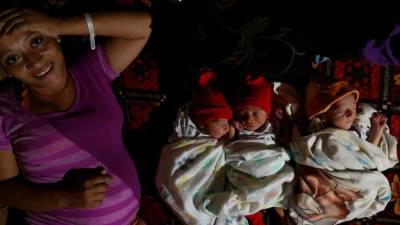 Los trillizos están creciendo sanos y vigorosos.