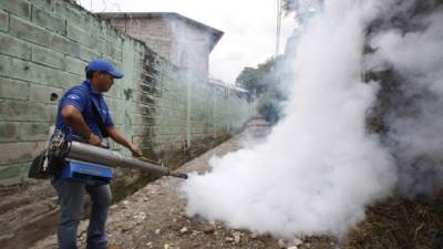 Ha habido alrededor de ocho operativos en la ciudad.