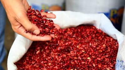 La libra de frijol en los banasupros de San Pedro Sula se cotiza a L 9.20, en mercados generales el costo es mayor.