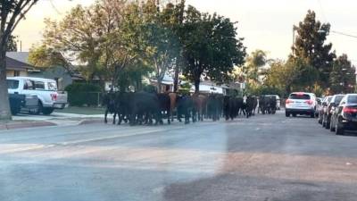 Pobladores tuvieron que resguardarse en vehículos y casas.