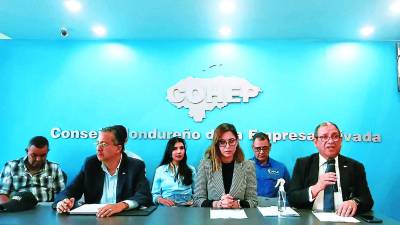 Autoridades del Cohep, CCIT y sectores productivos solicitaron al gobierno derogar el decreto de congelamiento de precios.