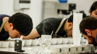 Un grupo de empresarios chinos catando muestras de cafés especiales de distintos departamentos.