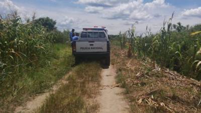 El cuerpo sin vida fue encontrado hoy en este bordo del sector de San Juan Viejo en La Lima, Cortés.