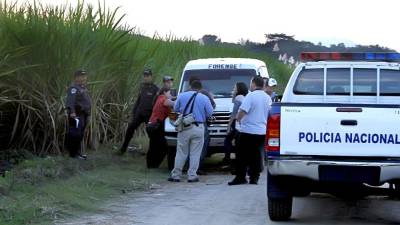 Los cadáveres estaban entre los matorrales.