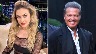 Aracely Arámbula es proteger el futuro de los hijos que tuvo con Luis Miguel, con quien vivió un romance del 2005 al 2009.