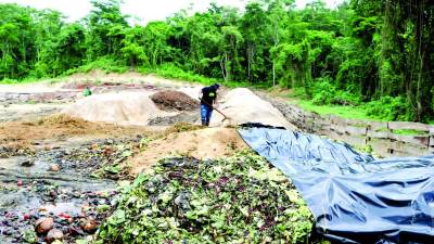 Los desechos tardan entre cuatro a cinco meses en descomponerse de acuerdo al proceso que llevan, informan encargados.