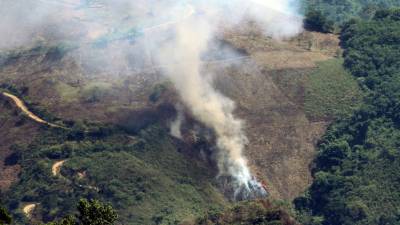 Al adentrarse al parque, los daños hechos por el hombre son más que visibles.