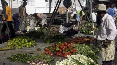 Grupos de defensa del consumidor han pedido que se exima de tributos a ciertos alimentos.
