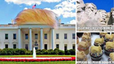 Como ocurre siempre en las grandes ocasiones, la toma de posesión de Donald Trump a la presidencia de Estados Unidos ha desatado un torrente de memes.