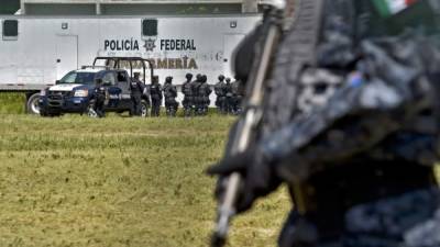 México creó una nueva división policial para luchar contra narcos.