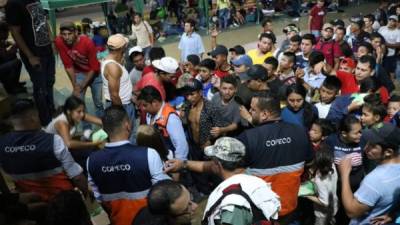 Copeco ayuda a migrantes hondureños en las fronteras entre Honduras y Guatemala.
