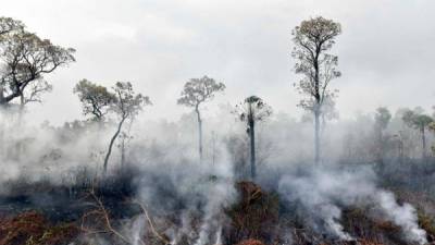 Los incendios en la Amazonía brasileña han consumido miles de hectáreas de la mayor selva tropical del mundo./AFP.