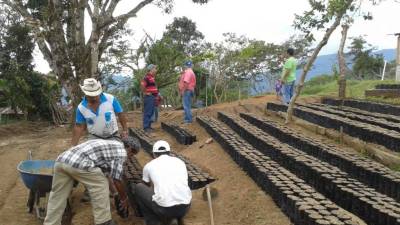 Los trabajos ya comenzaron en la montaña.