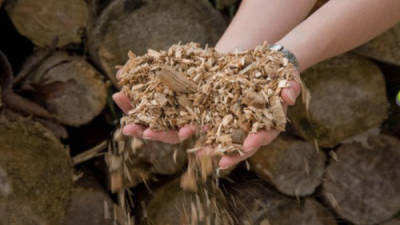 La biomasa está considerada una excelente alternativa energética.