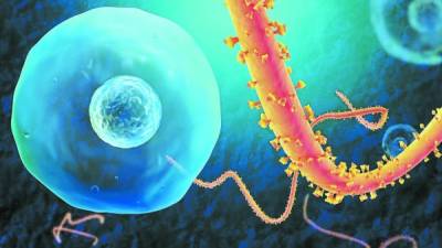 El virus del ébola no se transmite por el aire, sino por contacto con los fluidos corporales.