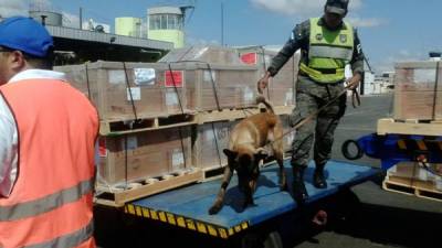 En la aduana Toncontín se revisaron contenedores de mercadería con apoyo del Escuadrón Canino.