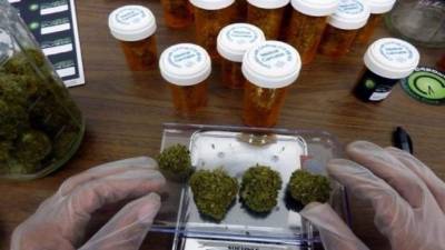 El distrito publicó un manual explicativo sobre el consumo legal de la marihuana medicinal aprobado en 2016 en Florida. Foto.EFE