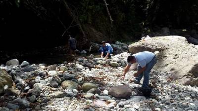 El caudal de agua se ha reducido en el río Danto, principal fuente que abastece a la ciudad. Foto: Samuel Zelaya