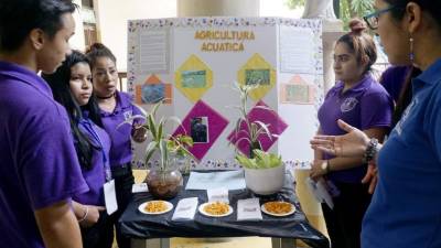 En el área de ecología un grupo presentó “Agricultura acuática”, también conocido como “acuicultura”.