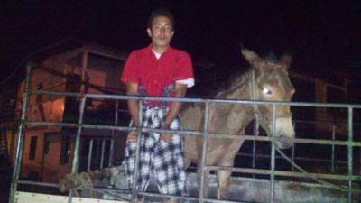 Ivis Adonay Castellanos es acusado de robo de ganado.