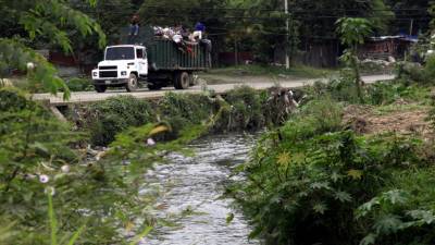 El río Sauce ha colapsado. Recoge contaminantes de toda la ciudad, de norte a sur y desemboca en el Chamelecón cerca de La Lima.