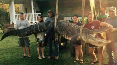 El cocodrilo midió 3,9 metros.