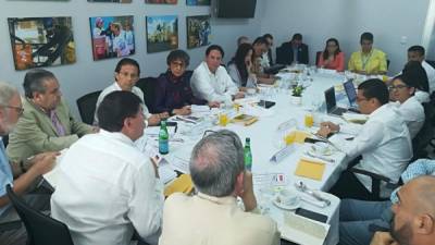 Los convocantes creen que el proceso electoral del 26 de enero fue 'atípico'.