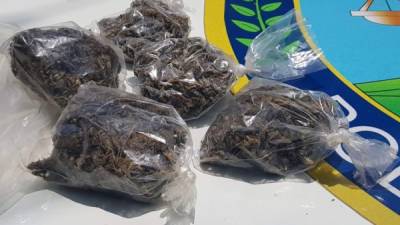 Al extranjero se le encontró varias bolsas plásticas conteniendo supuesta droga.