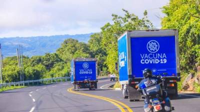 Los vacunas tienen como destino los municipios de Ocotepeque y Choluteca.