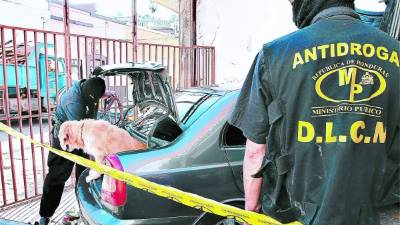 Una de las tareas de los elementos de la DLCN es participar en operativos antidrogas.