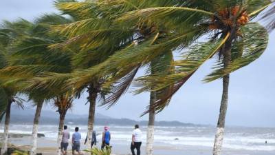 Copeco advierte por vientos de velocidades de 30 kilómetros por hora y con rachas superiores de hasta 60 kilómetros por hora.