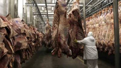 Algunos paquetes estaban deteriorados y otros tenían alrededor de 40 años.