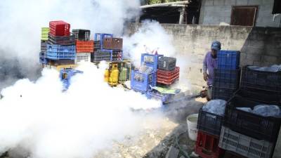 El personal de la Mesa Intersectorial de Salud fumigó más de 1,300 viviendas en la aldea El Zapotal.