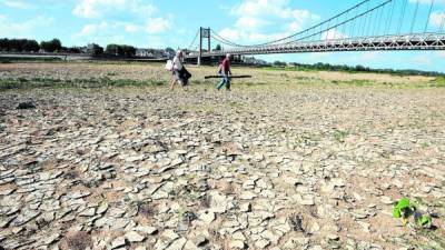 Una zona de Francia evidencia severos efectos de la sequía.