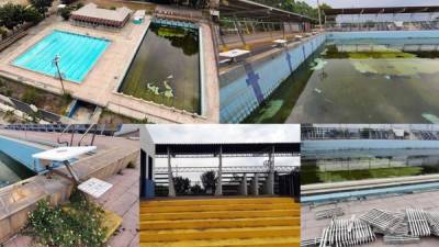 En lamentables condiciones y en total abandono se encuentra la piscina Complejo Olímpico Metropolitano de San Pedro Sula.