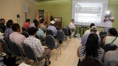 Los agroforestales conocieron los avances del proceso.