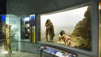 El experimento fue todo un éxito, según el relato publicado hoy por The New York Times, que recogió las experiencias de varios de los participantes.