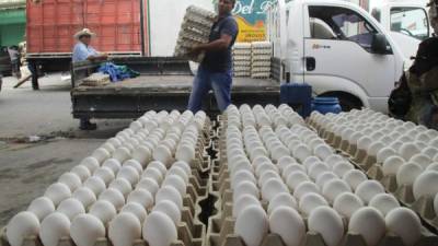 Un hombre apila cartones de huevo en un local de San Pedro Sula. Foto: Wendell Escoto