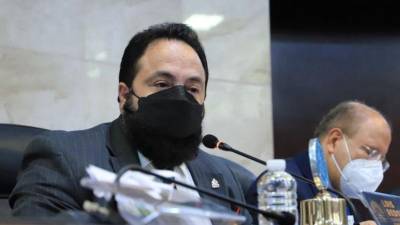 Presidente del Congreso Nacional, Luis Redondo.