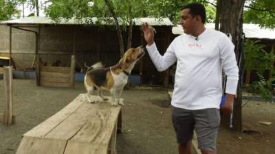 Su propietario, el nicaragüense Alfredo Pérez, de 33 años.