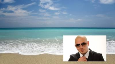 El popular músico rapero de origen cubano Pitbull es la estrella de un video de Florida.
