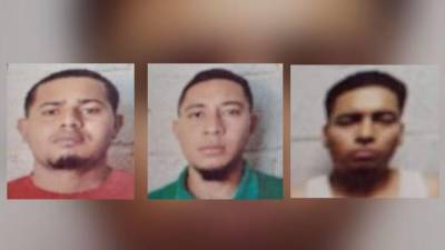 Kerlin Rafael Tifre Ponce, Jefry Geovanny Molina Cantillano y Eduard Edgardo Ponce López.