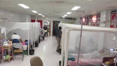 invitó a la población a estar en alerta y mantener sus solares limpios.